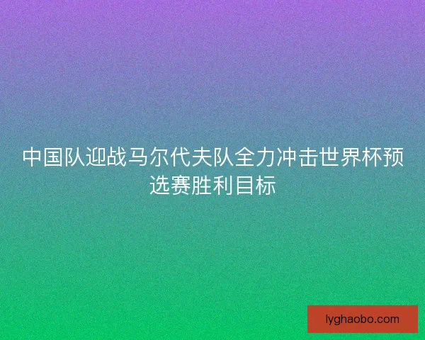 中国队迎战马尔代夫队全力冲击世界杯预选赛胜利目标
